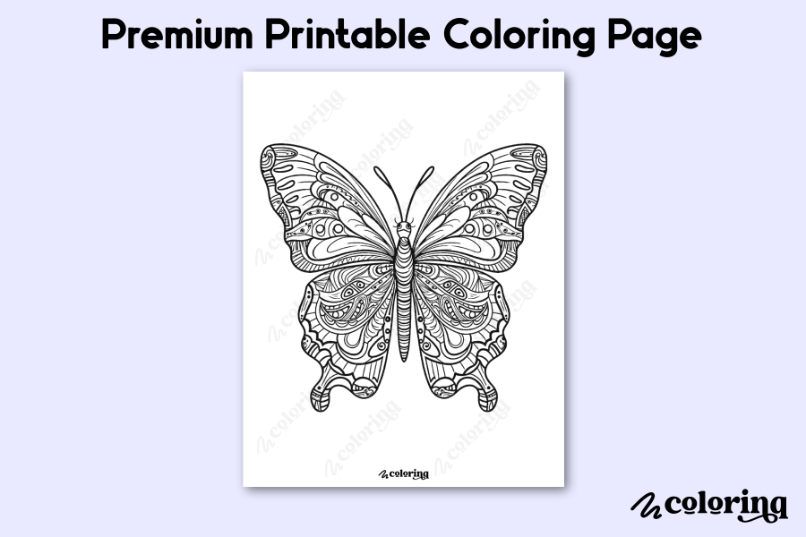 Butterfly Butterflies Coloring Page