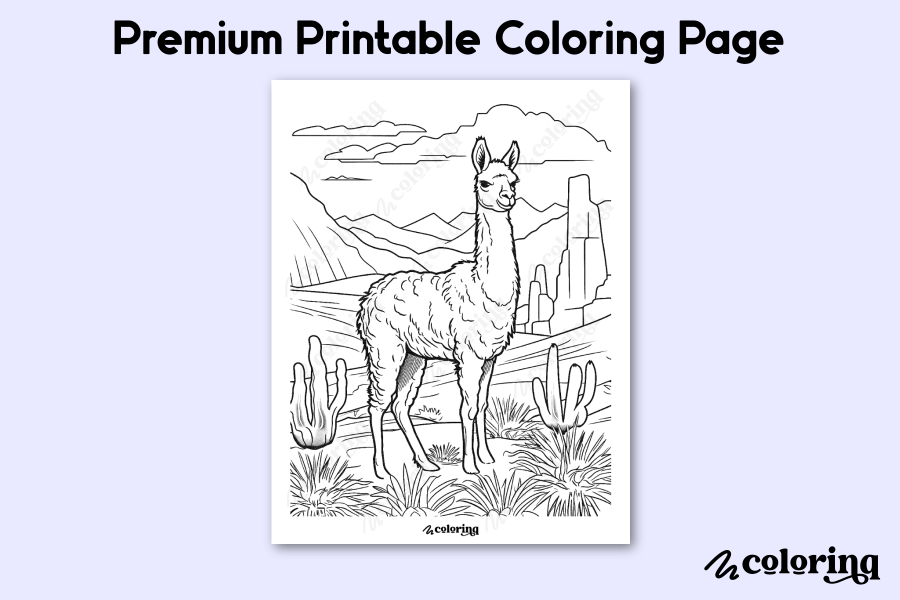 Landscape with a Lama Coloring Page